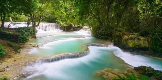 Giorno 19: Luang Prabang - Esperienze di Agricoltura - Cascate di Kuang Si (B)