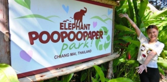 Giorno 5: Chiang Mai – Campo degli elefanti (B)