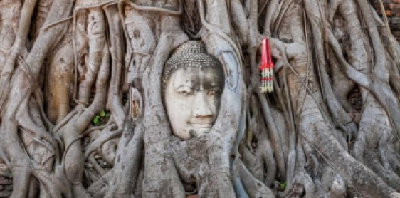 Giorno 6: Parco Storico di Ayutthaya - crociera di ritorno a Bangkok (B, L)